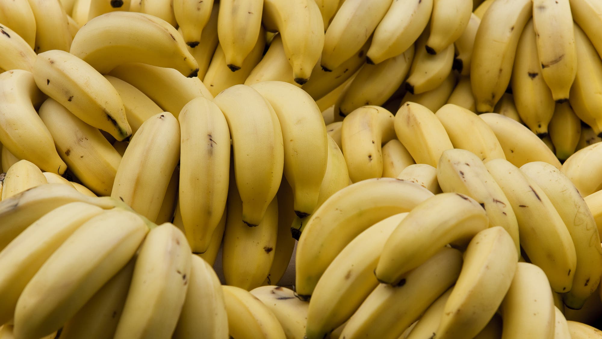 Bananas famosas - 🧡 Bananas famosas 2 (@bananasfamosa2) Twitter Tweets * T...